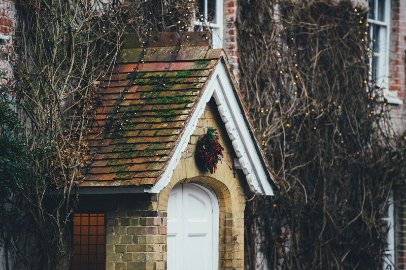 Moss Dirt & Mildew Damaged Roof